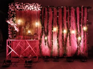 Event Planner in Udaipur